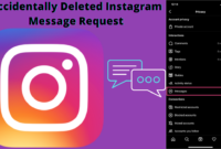 Accidentally Deleted Instagram Message Request