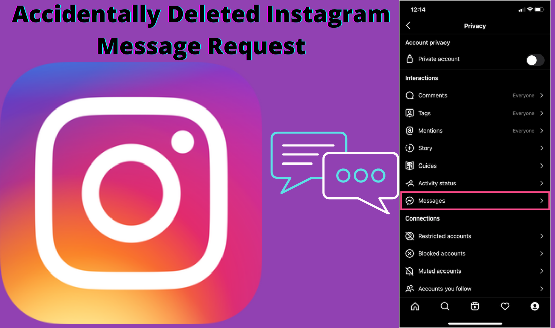 Accidentally Deleted Instagram Message Request