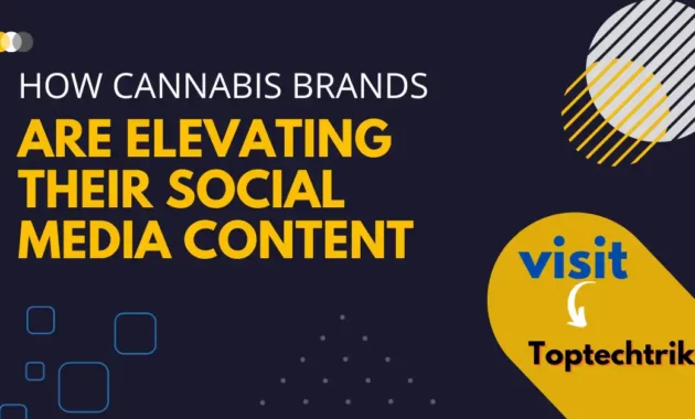 How cannabis brands are elevating their social media content