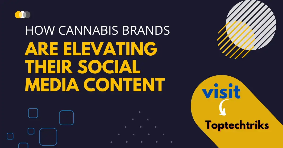 How cannabis brands are elevating their social media content