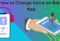 How to Change Voice on Bible App