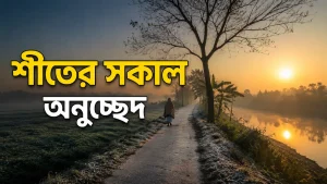 শীতের সকাল অনুচ্ছেদ